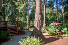Bothell Home near Woodinville