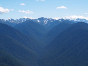 olympic-national-park-mountains-43287  